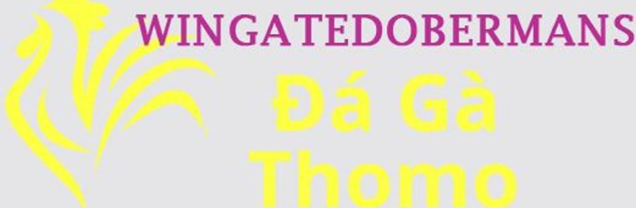 Đá Gà Trực Tiếp Thomo Cover Image