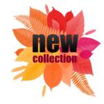 New Collection Profile Picture