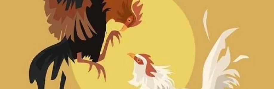 thomohomnay TRỰC TIẾP ĐÁ GÀ THOMO Cover Image