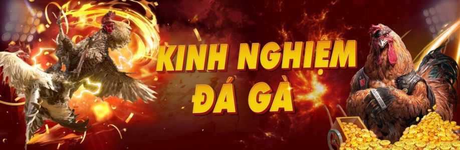 Diễn Đàn Đá Gà Cover Image