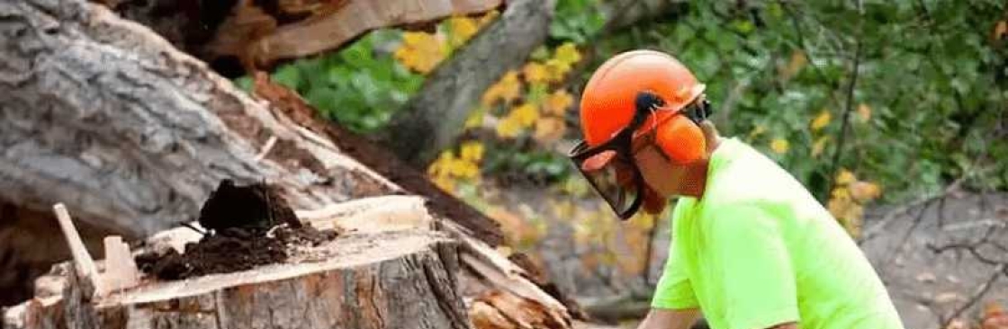 Tree Removal Cover Image