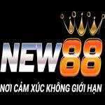 New88 ae org