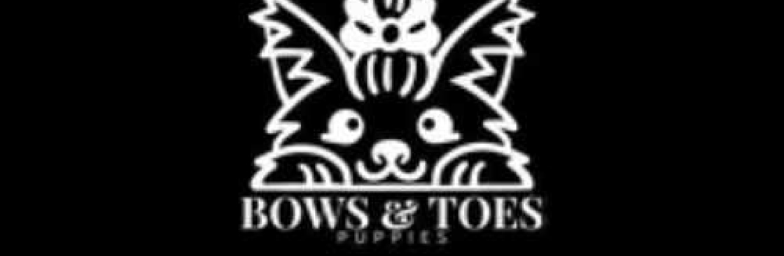 Bows and Toes Cover Image