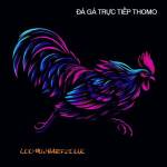 ĐÁ GÀ TRỰC TIẾP THOMO