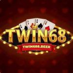 Twin68 beer