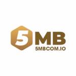 5MB
