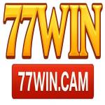77WIN CAM