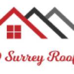 DD Surrey Roofing