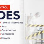 Scott scottspencer45