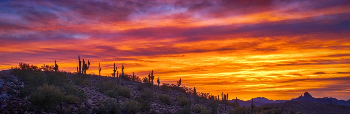Pima Behavioral Health Cover Image