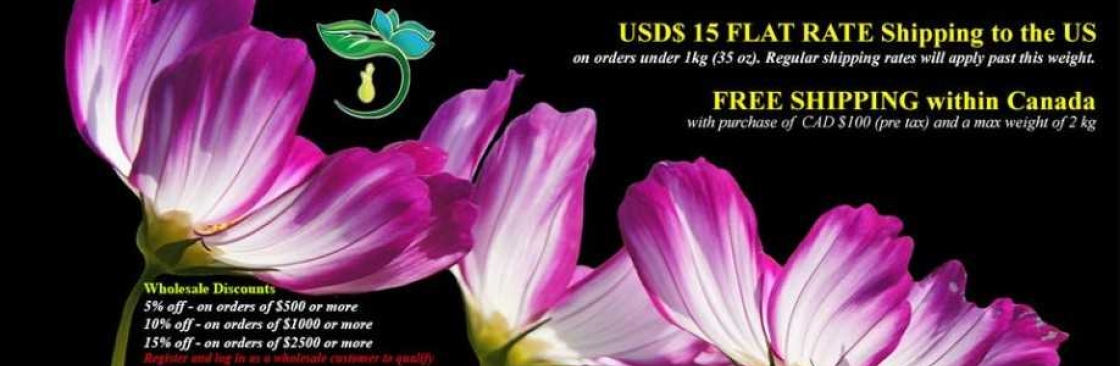 Aromatics Canada Inc Cover Image