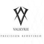 Headhunting Services Dubai By Valkyrie DMCC