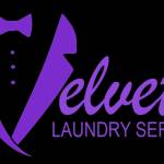 velvetlaundry services