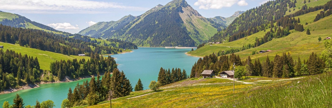 Swisstour company Cover Image