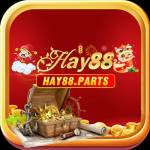 HAY88 parts