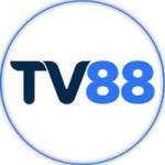 TV88 Profile Picture