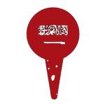 saudia taxi