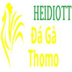 Đá Gà Trực Tiếp Thomo