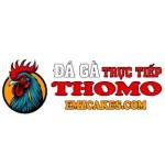 TRỰC TIẾP ĐÁ GÀ THOMO HÔM NAY