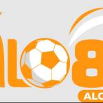 Alo8888io