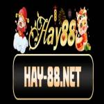 Hay88 net