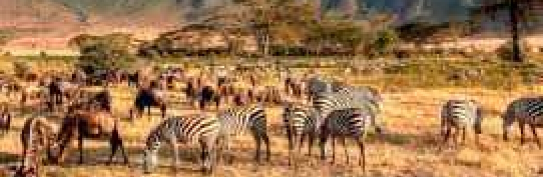 Kimgoni Tanzania Safaris Cover Image