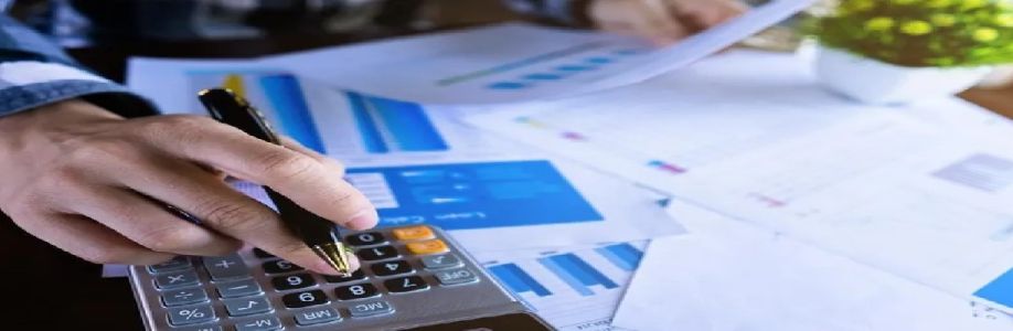 Accounting Solutions LLP Cover Image