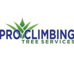 Pro Climbing Tree Services Profile Picture