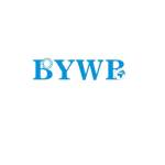 BYWB Bearing