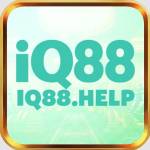 iq88 help