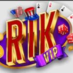 Rikvipjpnet Profile Picture