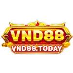 VND88