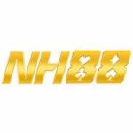 NH88 Profile Picture
