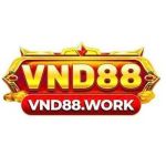 VND88 work