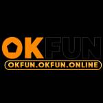 OKFUN Profile Picture