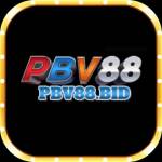 Pbv88 bid