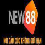 Nhà cái NEW88