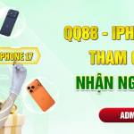 QQ8858 NET Profile Picture