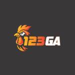 123GA 123GA Profile Picture