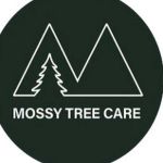 Mossy Tree Care