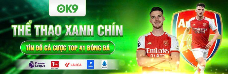 NHÀ CÁI OK9 Cover Image