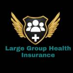 Large Group Health Insurance