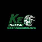 Kèo Nhà Cái 55 Phân Tích Tỷ Lệ Chuẩn Xác Bắt Kèo Hiệu Quả Mỗi Ngày