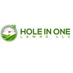Hole In One Lawns, LLC Profile Picture