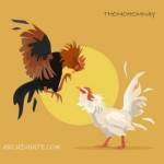 thomohomnay ĐÁ GÀ TRỰC TIẾP Profile Picture