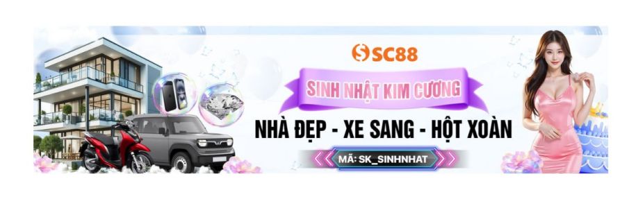 SC88 CHARITY Cover Image