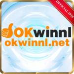 okwinl net Profile Picture
