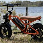 VICTRIP Ebike Profile Picture