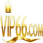 vip66 fyi