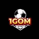 1gom SE